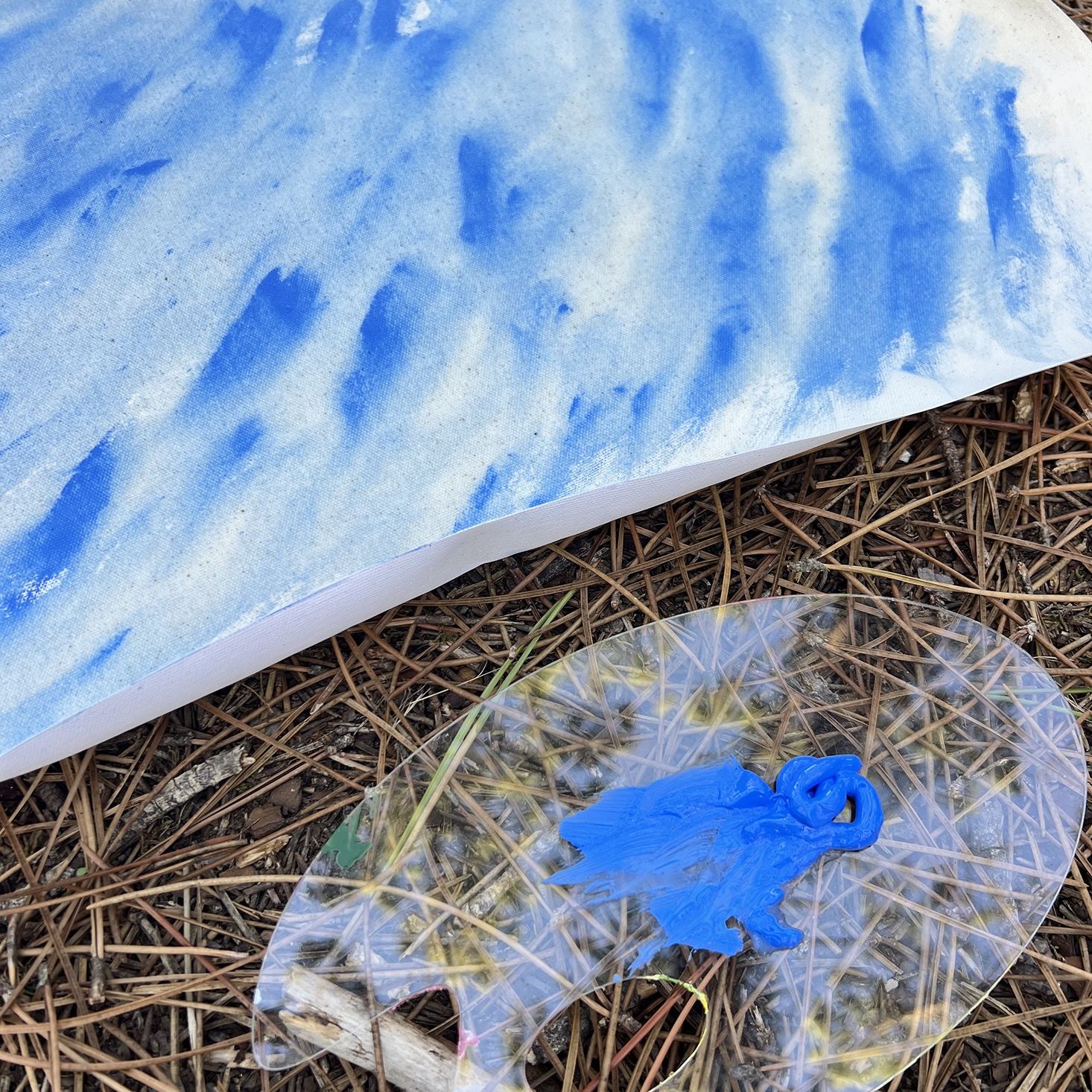 A painting in blue strokes and a palette lying on pine needles