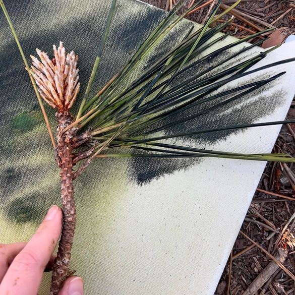 A pine branch used as a brush on the canvas