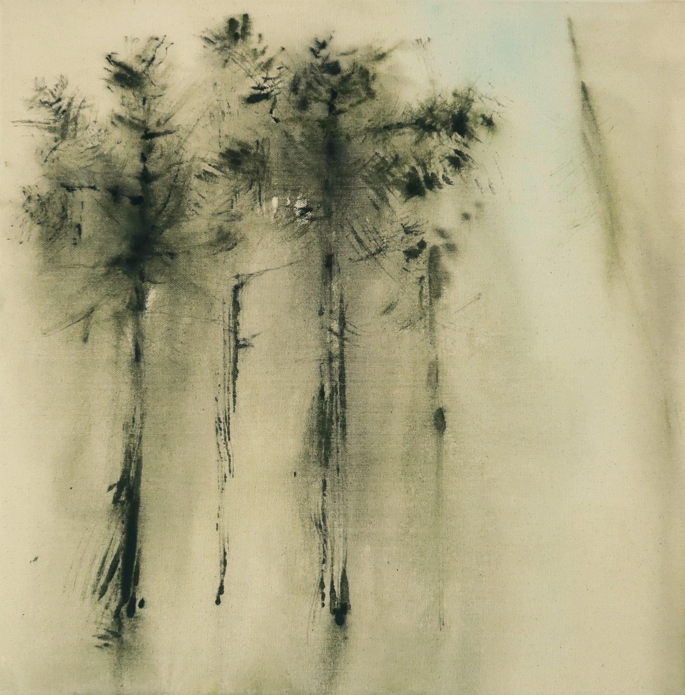 Pines I, Acrylic on canvas, 50 × 50 cm