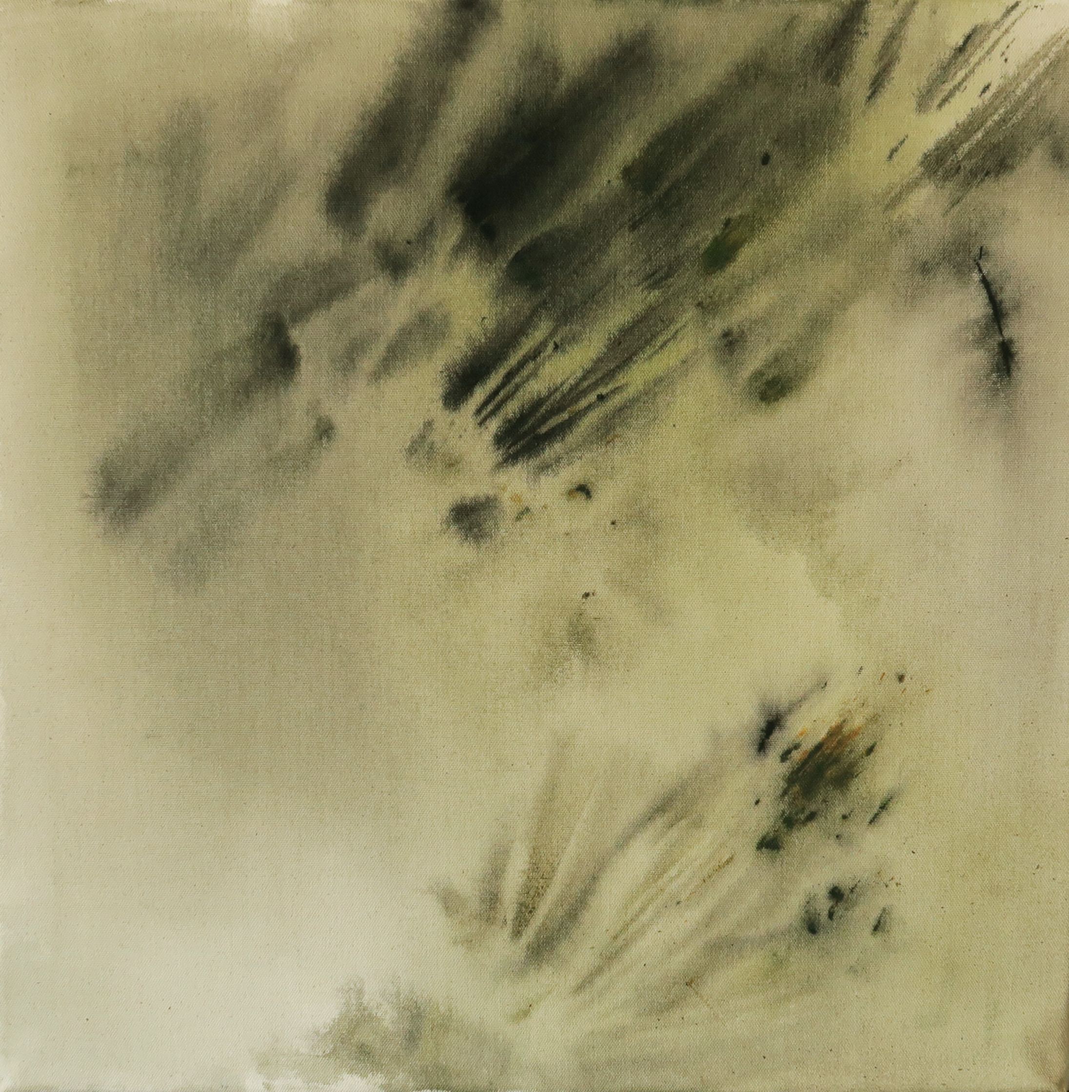 Pines II, Acrylic on canvas, 45 × 45 cm