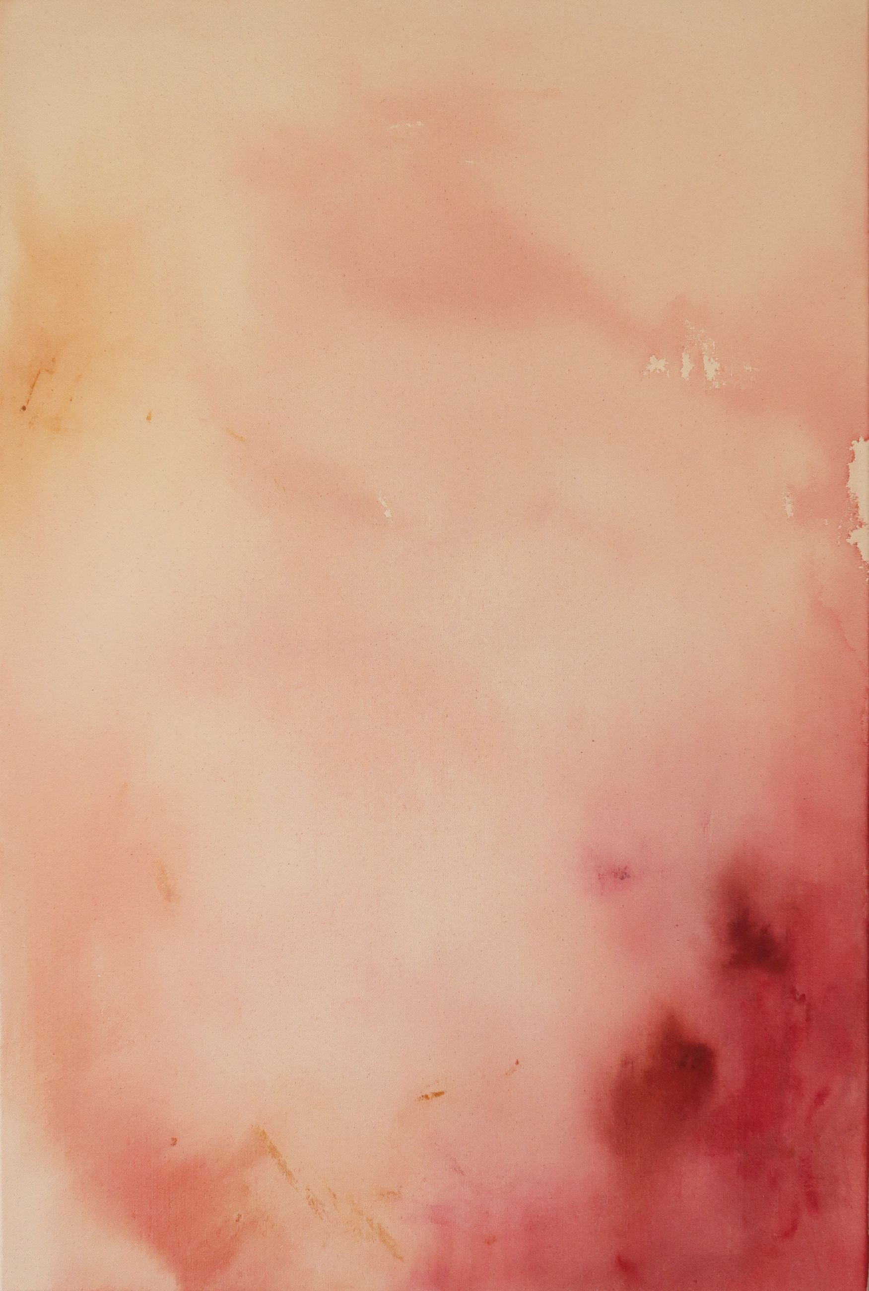 Shells, Acrylic on canvas, 60 × 90 cm